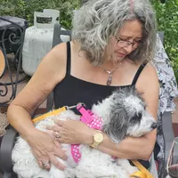 Looking for a roommate in East Van, Outer Vancouver, Downtown Van, Burnaby / New West - Vancouver