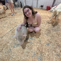 Room for rent in Deer Valley - Phoenix, Phoenix