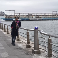 Looking for a roommate in Central Minneapolis, Saint Paul - Minneapolis