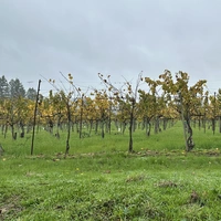 Looking for a roommate in San Francisco - San Francisco