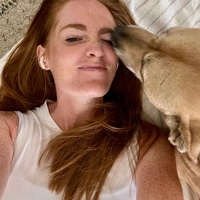 Looking for a roommate in Center Denver, North Denver, East Denver, West Denver, Outer Denver - Denver