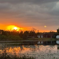 Room for rent in Windermere - West Orlando, Orlando