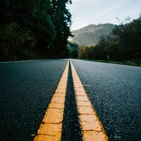 Looking for a roommate in Central Raleigh, North Raleigh - Raleigh