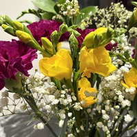 Room for rent in Fort Lee - Jersey City / Hoboken, New York