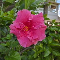 Looking for a roommate in San Francisco - San Francisco