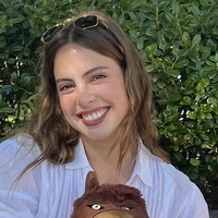 Buscando compañero de cuarto en Ne Dallas - Dallas