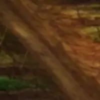 Looking for a roommate in Manhattan - New York