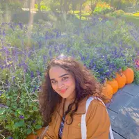 Looking for a roommate in Ne Dallas, Nw Dallas - Dallas