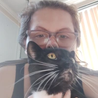 Looking for a roommate in Boston, Cambridge, Somerville, Metro Area, South Shore - Boston