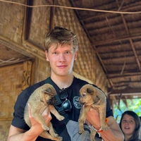 Looking for a roommate in Manhattan - New York