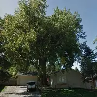 Room for rent in Aurora CO - Outer Denver, Denver