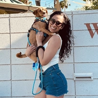 Looking for a roommate in Central Los Angeles - Los Angeles