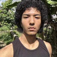 Looking for a roommate in Queens - New York