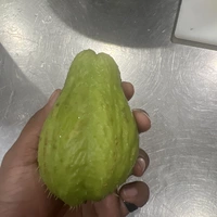 Room for rent in Brentwood - Burnaby / New West, Vancouver