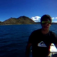 Looking for a roommate