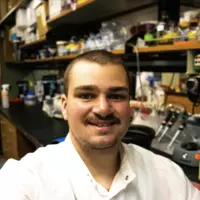 Looking for a roommate in Manhattan - New York