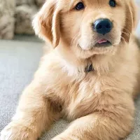 Looking for a roommate in Manhattan, Brooklyn, Queens, Jersey City / Hoboken - New York