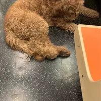 Looking for a roommate in Manhattan, Brooklyn, Queens, Jersey City / Hoboken - New York