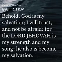 Looking for a roommate in Manhattan, Brooklyn, Queens, The Bronx, Jersey City / Hoboken - New York