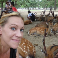 Looking for a roommate in Manhattan, Brooklyn, Queens, Jersey City / Hoboken - New York