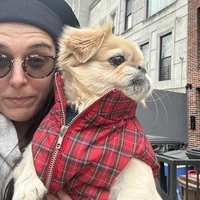 Room for rent in Bedford Stuyvesant - Brooklyn, New York