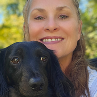 Looking for a roommate in Outer IN - Indianapolis