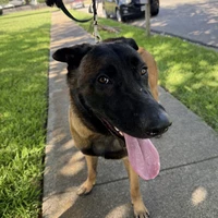 Looking for a roommate in Ne Dallas, Nw Dallas, Sw Dallas, Se Dallas - Dallas