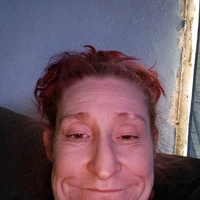 Looking for a roommate in KCMO, Outer KCMO - Kansas City