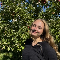 Looking for a roommate in Manhattan, Brooklyn, The Bronx - New York