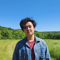 Looking for a roommate in Chicago Burbs - Chicago