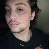 Looking for a roommate in Central Charlotte - Charlotte