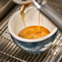 Looking for a roommate in Brooklyn - New York