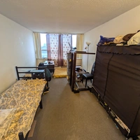 Room for rent in University of Toronto - Downtown TO, Toronto