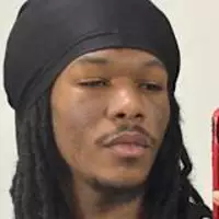 Looking for a roommate in North Tampa - Tampa