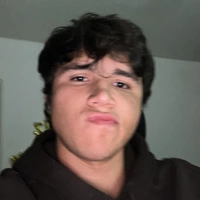 Looking for a roommate in City Centre, East Calgary, NE Calgary, NW Calgary, North Calgary, Outer Calgary, SE Calgary, South Calgary, West Calgary - Calgary