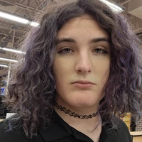 Looking for a roommate in North STL, West County, North County - Saint Louis