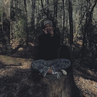 Looking for a roommate in West Tampa, East Tampa - Tampa