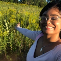 Looking for a roommate in Central, West Side, Far North Side, Far Southeast Side, Far Southwest Side, North Side, Northwest Side, South Side, Southwest Side, Chicago Burbs - Chicago