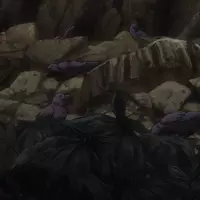 Looking for a roommate in Broward County - Miami