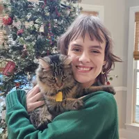 Looking for a roommate in Central Charlotte, North Charlotte, East Charlotte, West Charlotte - Charlotte