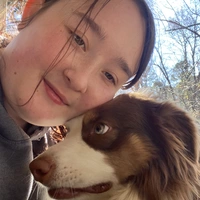 Looking for a roommate in KCMO, KCK, Outer KCMO, Outer KCK - Kansas City