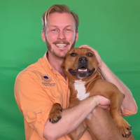 Looking for a roommate in Central Tampa, North Tampa, Clearwater-St. Petersburg - Tampa