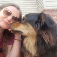 Room for rent in High Park North - West TO, Toronto