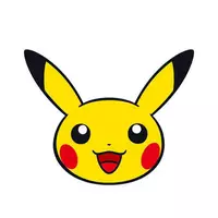 Looking for a roommate in Central Austin, South Central Austin, North Central Austin, North Austin, East Austin, West Austin - Austin