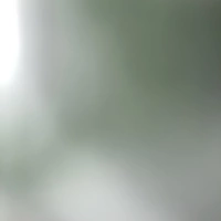 Looking for a roommate in Chicago Burbs - Chicago