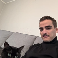 Looking for a roommate in North Dfw - Dallas