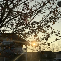 Looking for a roommate in West Columbus - Columbus