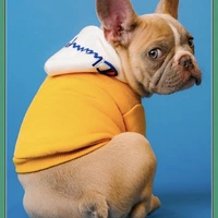 Looking for a roommate in Manhattan, Brooklyn, The Bronx - New York