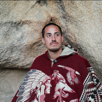 Looking for a roommate in Westside / South Bay - Los Angeles