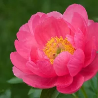 Room for rent in Park Slope - Brooklyn, New York